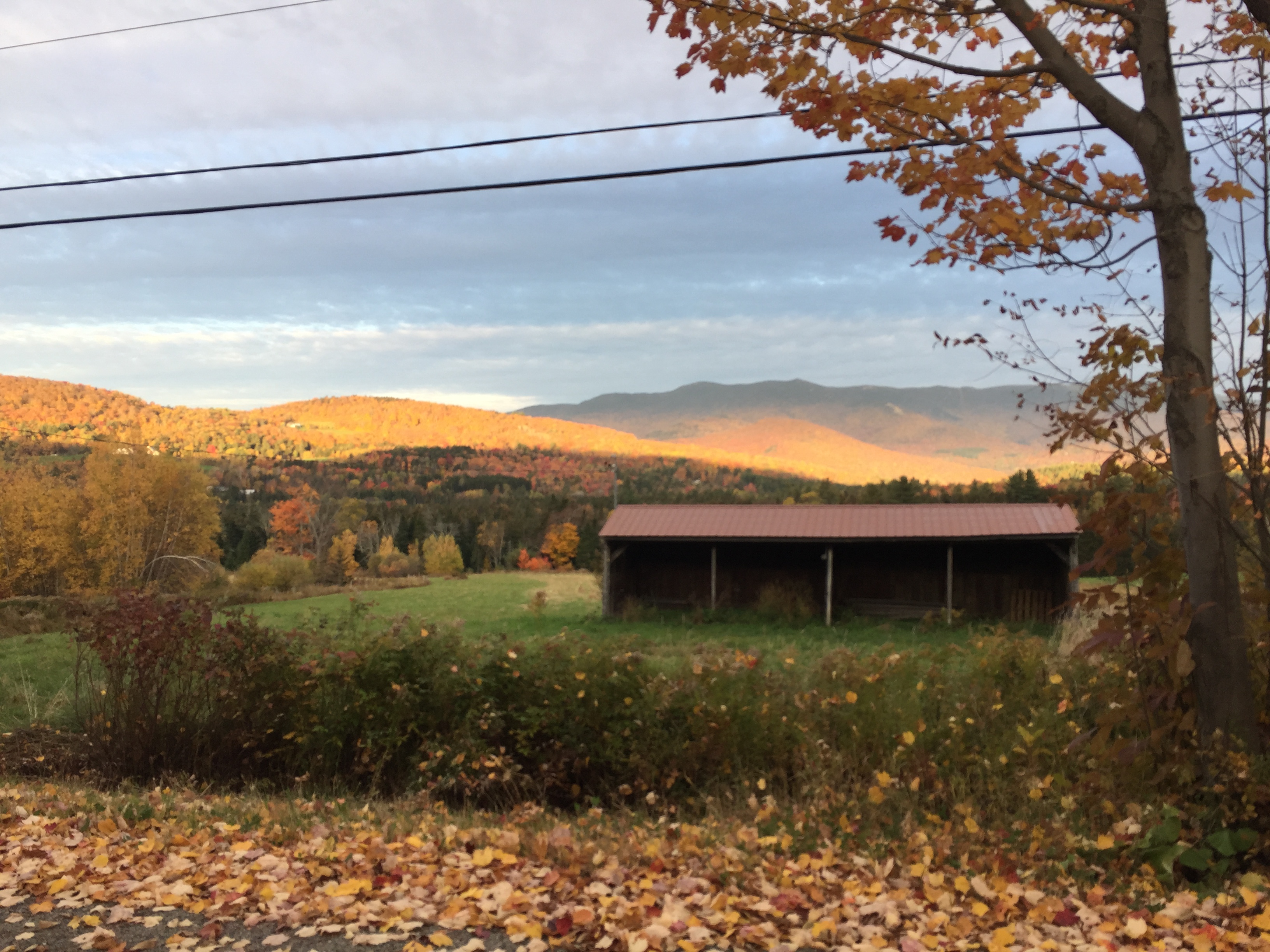 Reader submitted foliage photo from Nick Morehouse.